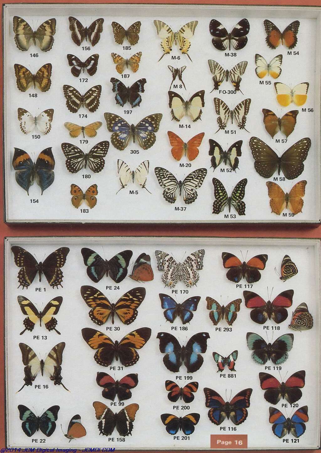 The Butterfly Company (NY) 20 page catalog 1978